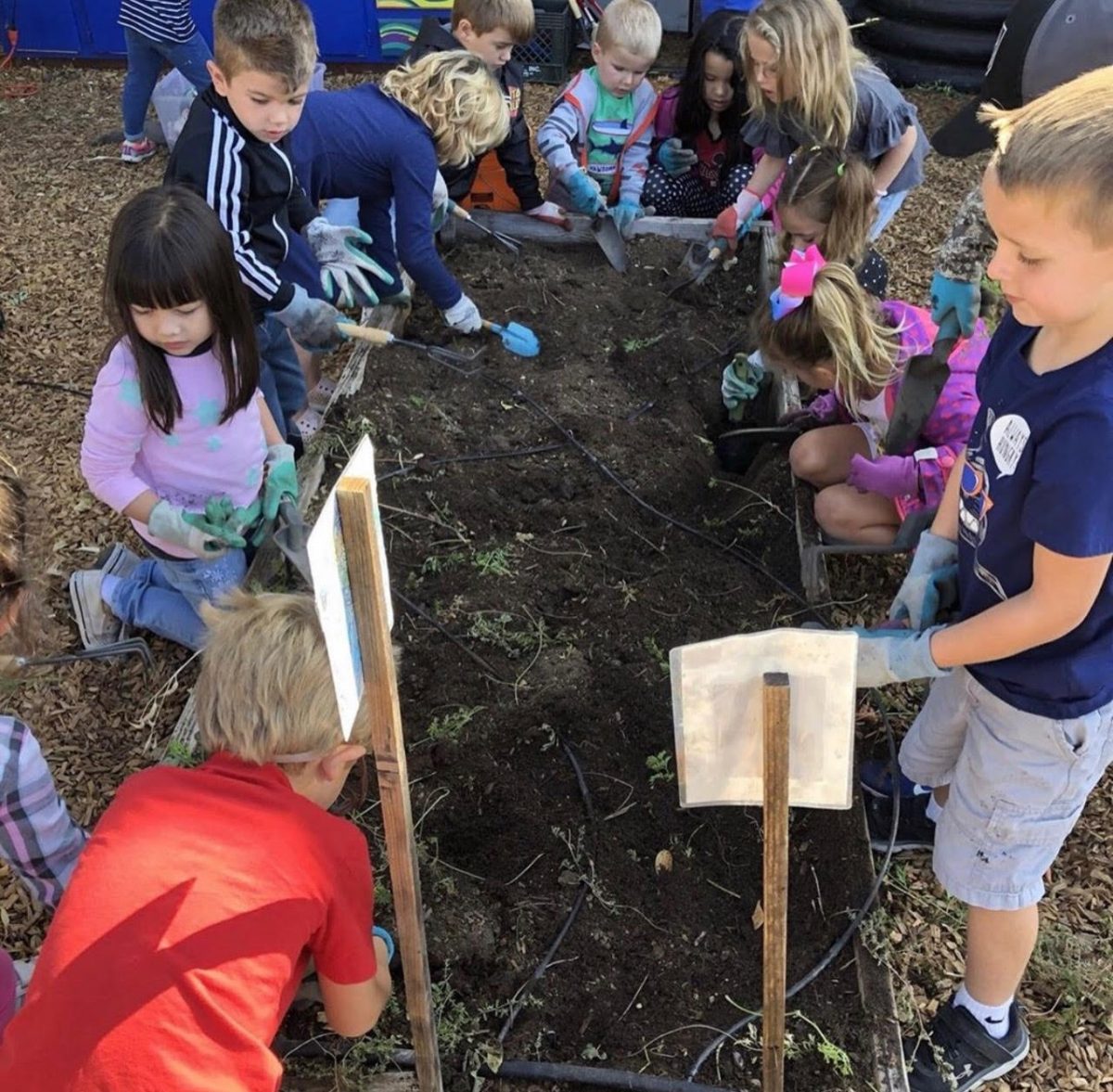 Garden - John B. Riebli Elementary